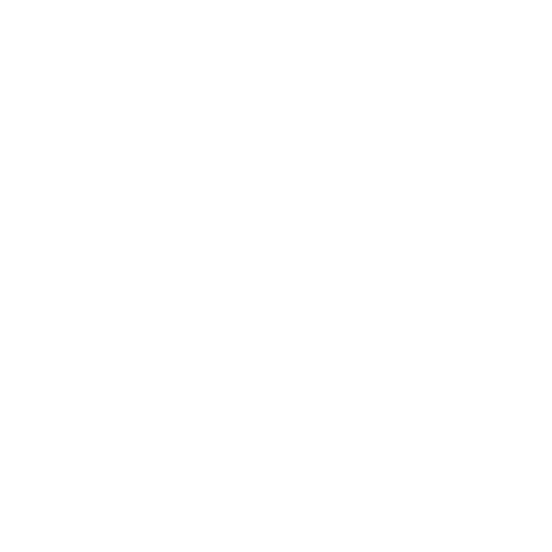 Picture for category Adidas