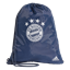 Picture of FC Bayern Gym Bag