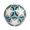 Picture of Finale Sala 5x5 Ball