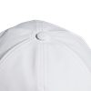Picture of C40 Climalite Cap