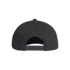 Picture of H90 Logo Cap