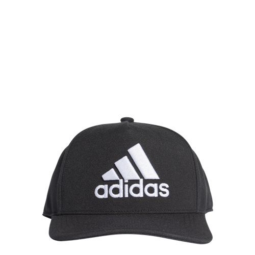 Picture of H90 Logo Cap