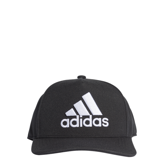 Picture of H90 Logo Cap