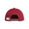 Picture of The Packcap