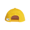 Picture of The Packcap