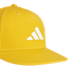 Picture of The Packcap
