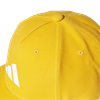 Picture of The Packcap