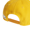 Picture of The Packcap