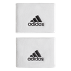 Previous
