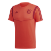 Picture of FC Bayern Tee