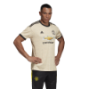 Picture of Manchester United Away Jersey