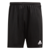 Picture of Parma 16 Shorts