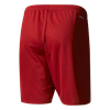 Picture of Parma 16 Shorts