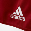Picture of Parma 16 Shorts