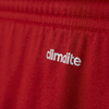 Picture of Parma 16 Shorts
