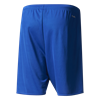 Picture of Parma 16 Shorts