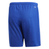 Picture of Parma 16 Shorts