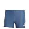 Picture of Badge Swim Fitness Boxers