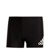 Picture of Badge Swim Fitness Boxers