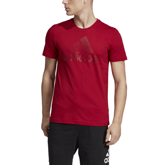 Picture of Must Haves Badge of Sport Foil Tee