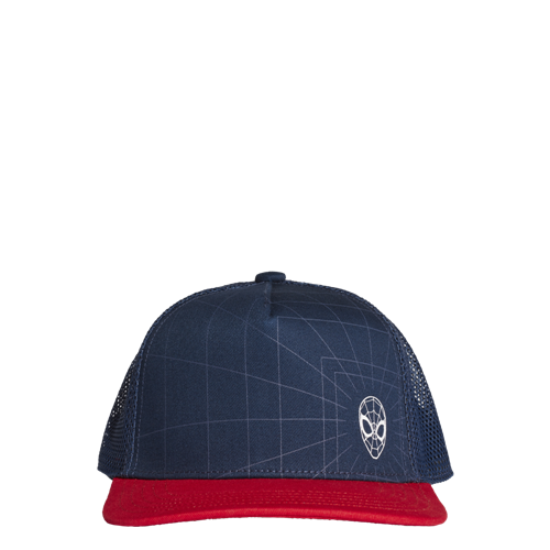 Picture of Marvel Spider-Man Cap