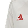 Picture of Juventus Away Jersey