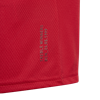 Picture of Manchester United Home Jersey