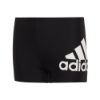Picture of Badge of Sport Swim Boxers
