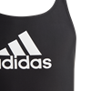 Picture of Badge of Sport Swimsuit