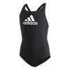 Picture of Badge of Sport Swimsuit