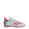 Picture of X 19.3 Artificial Grass Boots