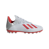 Picture of X 19.3 Artificial Grass Boots