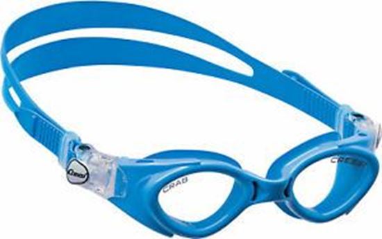 Picture of Crab Goggles