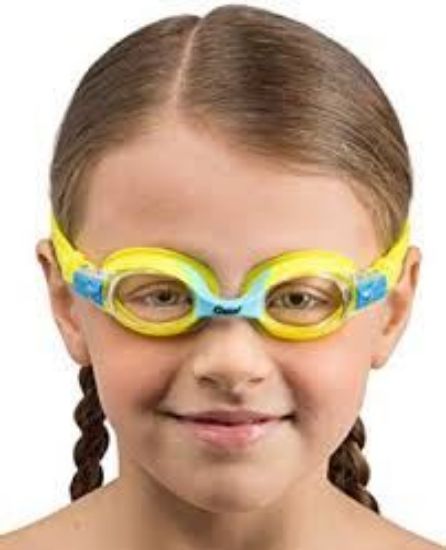Picture of Dolphin 2.0 Kids Goggles