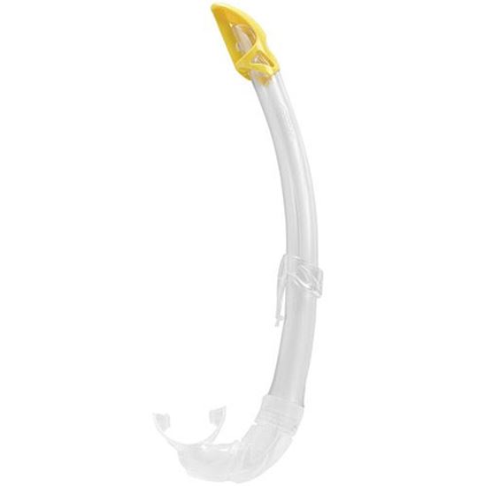 Picture of Mexico Snorkel