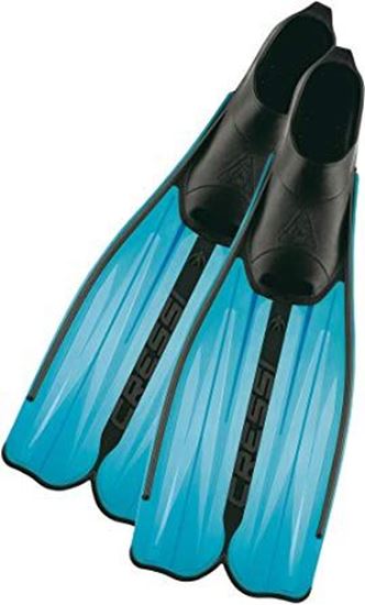 Picture of Rondinella Fins Aquae 43-44
