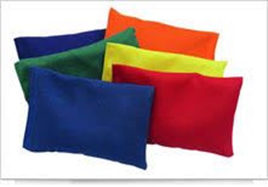 Picture of Long Length Bean Bags 180G