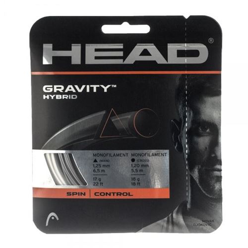 Picture of Gravity