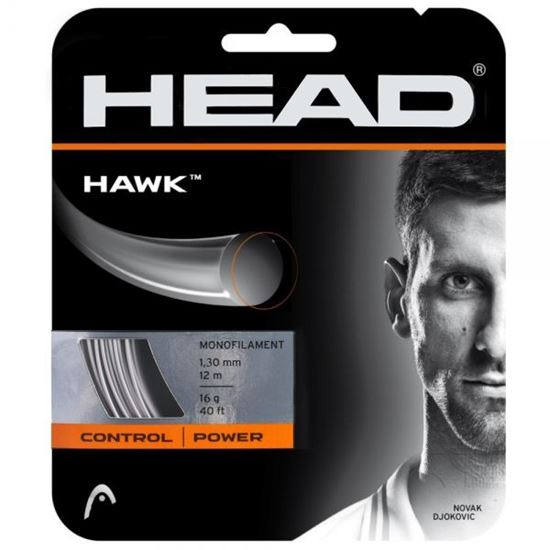 Picture of Hawk Set