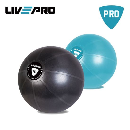Picture of Anti-Burst Core -Fit Exer Ball