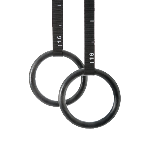 Picture of Gymastic Rings