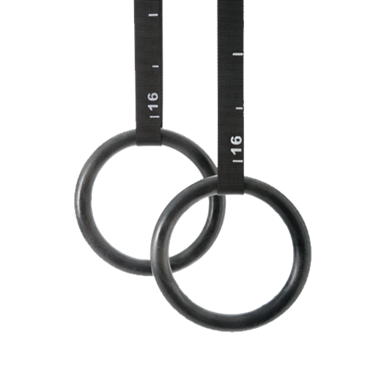 Picture of Gymastic Rings