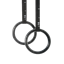 Picture of Gymastic Rings