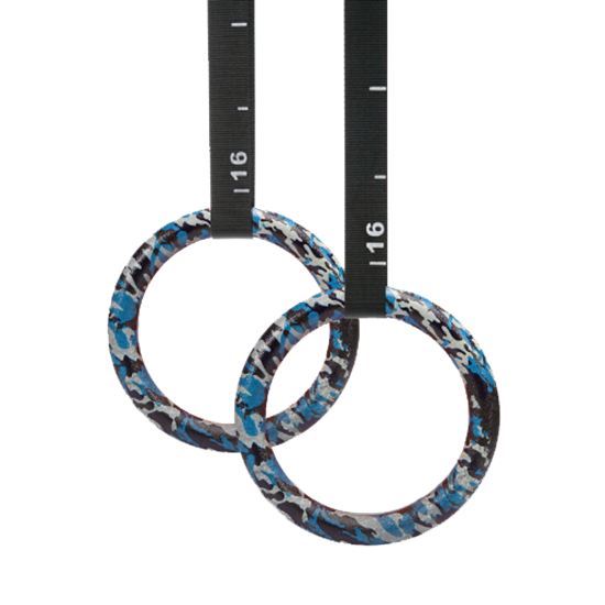 Picture of Gymastic Rings