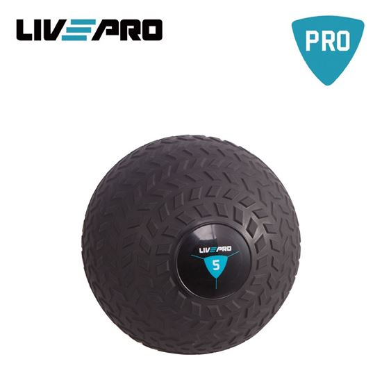 Picture of Slam Ball
