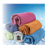 Picture of Sport Towel