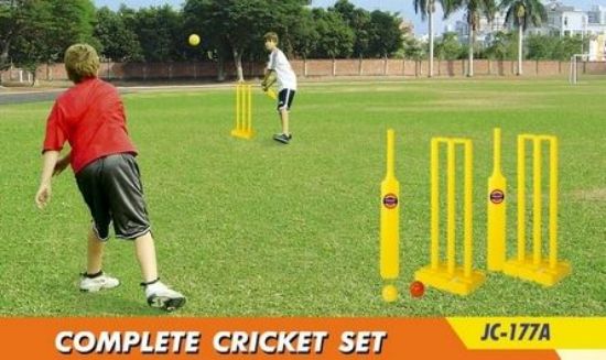 Picture of Complete Cricket Set