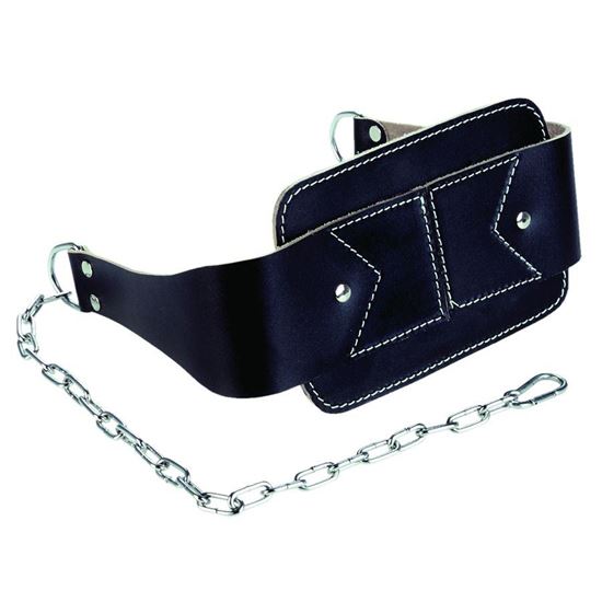 Picture of Dipping Belt