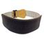 Picture of Weightlifting Belt