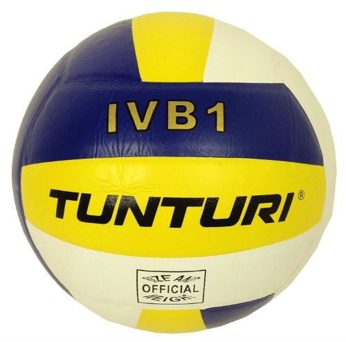 Picture of Volleyball Ivb1